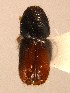  ( - BHJ195)  @12 [ ] No Rights Reserved (2012) Unspecified University Museum of Bergen, Natural History Collections