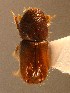  ( - BHJ210)  @12 [ ] No Rights Reserved (2012) Unspecified University Museum of Bergen, Natural History Collections