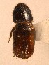  ( - BHJ253)  @12 [ ] No Rights Reserved (2012) Unspecified University Museum of Bergen, Natural History Collections