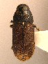  ( - BHJ286)  @12 [ ] No Rights Reserved (2012) Unspecified University Museum of Bergen, Natural History Collections