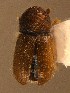  ( - BHJ298)  @12 [ ] No Rights Reserved (2012) Unspecified University Museum of Bergen, Natural History Collections
