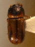  ( - BHJ33)  @14 [ ] No Rights Reserved (2012) Unspecified University Museum of Bergen, Natural History Collections