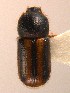  ( - BHJ65)  @14 [ ] No Rights Reserved (2012) Unspecified University Museum of Bergen, Natural History Collections