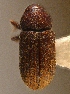  ( - BHJ7)  @13 [ ] No Rights Reserved (2012) Unspecified University Museum of Bergen, Natural History Collections