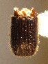  ( - BHJ70)  @12 [ ] No Rights Reserved (2012) Unspecified University Museum of Bergen, Natural History Collections