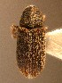  ( - BHJ96)  @12 [ ] No Rights Reserved (2012) Unspecified University Museum of Bergen, Natural History Collections