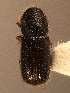  ( - BHJ99)  @11 [ ] No Rights Reserved (2012) Unspecified University Museum of Bergen, Natural History Collections