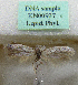  ( - KN00937)  @11 [ ] CreativeCommons - Attribution Non-Commercial (2017) Kari Nupponen Faunatica Oy