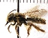  (Andrena SanDiego Sp.2 - KJH.75)  @13 [ ] Unspecified (default): All Rights Reserved  Unspecified Unspecified