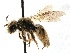  (Andrena SanDiego Sp.3 - KJH.491)  @11 [ ] Unspecified (default): All Rights Reserved  Unspecified Unspecified