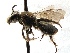  (Andrena SanDiego Sp.5 - KJH.230)  @12 [ ] Unspecified (default): All Rights Reserved  Unspecified Unspecified