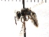  (Andrena LaJolla Sp.2 - KJH.7)  @11 [ ] Unspecified (default): All Rights Reserved  Unspecified Unspecified