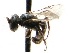  ( - KJH.2317)  @12 [ ] Unspecified (default): All Rights Reserved  Unspecified Unspecified