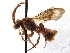  (Nomada SanDiego Red.2 - KJH.1119)  @14 [ ] Unspecified (default): All Rights Reserved  Unspecified Unspecified
