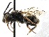 ( - KJH.3126)  @11 [ ] Unspecified (default): All Rights Reserved  Unspecified Unspecified
