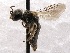  ( - KJH.557)  @13 [ ] Unspecified (default): All Rights Reserved  Unspecified Unspecified