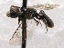  ( - KJH.2199)  @13 [ ] Unspecified (default): All Rights Reserved  Unspecified Unspecified