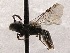  ( - KJH.2244)  @13 [ ] Unspecified (default): All Rights Reserved  Unspecified Unspecified
