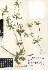  ( - CCDB-24907-D04)  @11 [ ] CreativeCommons - Attribution (2014) Linda Jennings University of British Columbia
