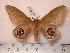  ( - BC-Her0213)  @14 [ ] Copyright (2010) Unspecified Research Collection of Daniel Herbin