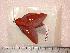  ( - BC-Her0481)  @13 [ ] Copyright (2010) Unspecified Research Collection of Daniel Herbin