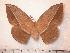  ( - BC-Her0519)  @15 [ ] Copyright (2010) Unspecified Research Collection of Daniel Herbin