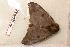  ( - BC-Her0564)  @13 [ ] Copyright (2010) Unspecified Research Collection of Daniel Herbin