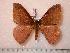 ( - BC-Her0596)  @13 [ ] Copyright (2010) Unspecified Research Collection of Daniel Herbin