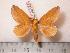  ( - BC-Her0635)  @14 [ ] Copyright (2010) Unspecified Research Collection of Daniel Herbin