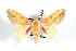  ( - BC-Her0705)  @13 [ ] Copyright (2010) Unspecified Research Collection of Daniel Herbin