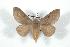  ( - BC-Her0710)  @13 [ ] Copyright (2010) Unspecified Research Collection of Daniel Herbin