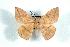  ( - BC-Her0741)  @14 [ ] Copyright (2010) Unspecified Research Collection of Daniel Herbin