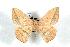  ( - BC-Her0742)  @13 [ ] Copyright (2010) Unspecified Research Collection of Daniel Herbin