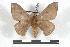  ( - BC-Her0976)  @13 [ ] Copyright (2010) Unspecified Research Collection of Daniel Herbin
