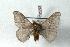  ( - BC-Her1246)  @14 [ ] Copyright (2010) Unspecified Research Collection of Daniel Herbin