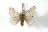  ( - BC-Her1269)  @13 [ ] Copyright (2010) Unspecified Research Collection of Daniel Herbin