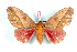  ( - BC-Her1523)  @13 [ ] Copyright (2010) Unspecified Research Collection of Daniel Herbin