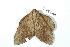  ( - BC-Her1849)  @12 [ ] Copyright (2010) Unspecified Research Collection of Daniel Herbin