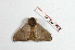 ( - BC-Her2099)  @12 [ ] Copyright (2010) Unspecified Research Collection of Daniel Herbin