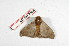  ( - BC-Her2143)  @13 [ ] Copyright (2010) Unspecified Research Collection of Daniel Herbin