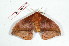  ( - BC-Her2152)  @13 [ ] Copyright (2010) Unspecified Research Collection of Daniel Herbin
