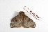  ( - BC-Her2160)  @12 [ ] Copyright (2010) Unspecified Research Collection of Daniel Herbin