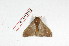  ( - BC-Her2166)  @13 [ ] Copyright (2010) Unspecified Research Collection of Daniel Herbin