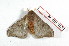  ( - BC-Her2178)  @13 [ ] Copyright (2010) Unspecified Research Collection of Daniel Herbin
