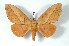  ( - BC-Her2252)  @11 [ ] Copyright (2010) Unspecified Research Collection of Daniel Herbin