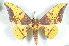 ( - BC-Her2286)  @14 [ ] Copyright (2010) Unspecified Research Collection of Daniel Herbin