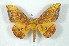  ( - BC-Her2413)  @14 [ ] Copyright (2010) Unspecified Research Collection of Daniel Herbin