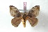  ( - BC-Her2444)  @14 [ ] Copyright (2010) Unspecified Research Collection of Daniel Herbin