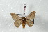  ( - BC-Her2465)  @13 [ ] Copyright (2010) Unspecified Research Collection of Daniel Herbin