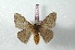  ( - BC-Her2467)  @13 [ ] Copyright (2010) Unspecified Research Collection of Daniel Herbin